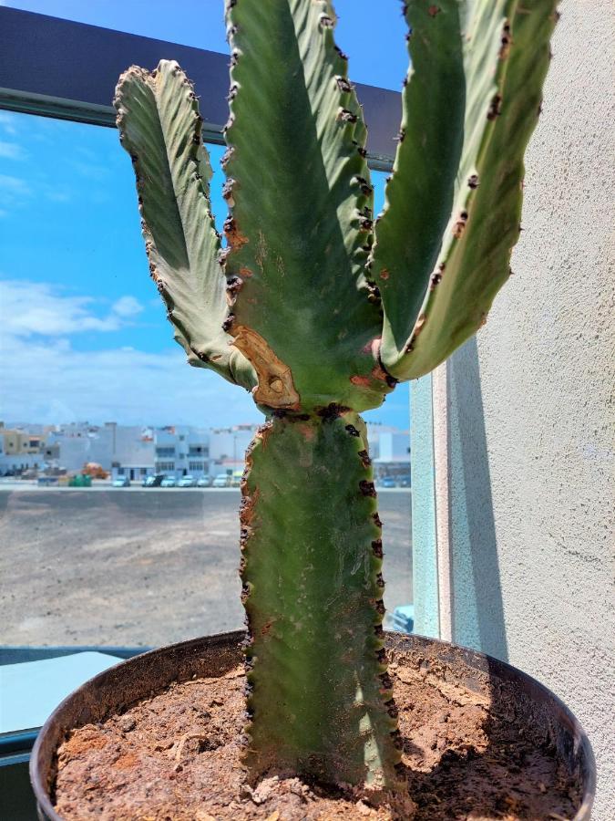 Deep Blue Cotillo III By Sea You There Fuerteventura Apartment Exterior photo